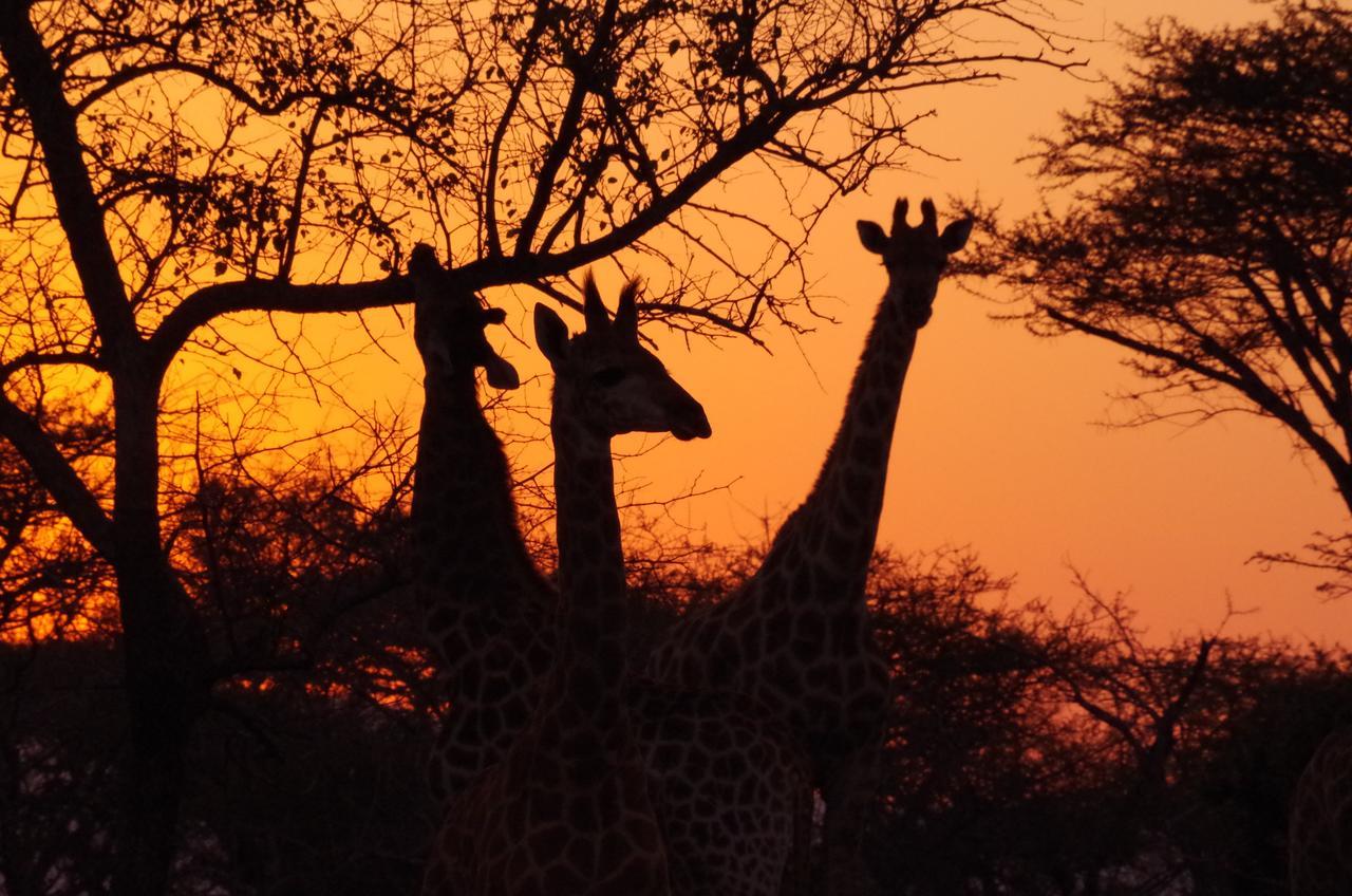 Frans Indongo Lodge โอชิวารองโก ภายนอก รูปภาพ