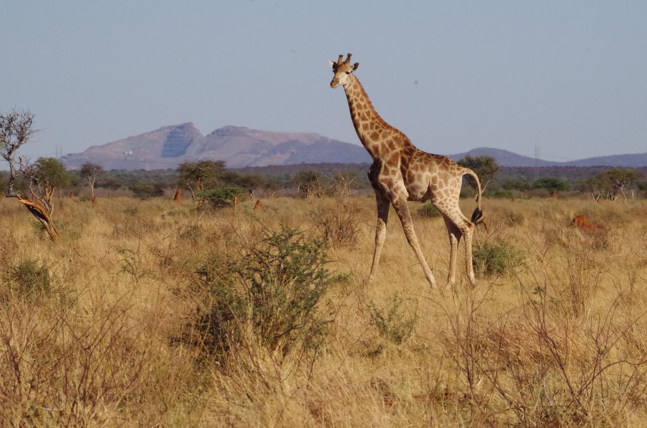Frans Indongo Lodge โอชิวารองโก ภายนอก รูปภาพ