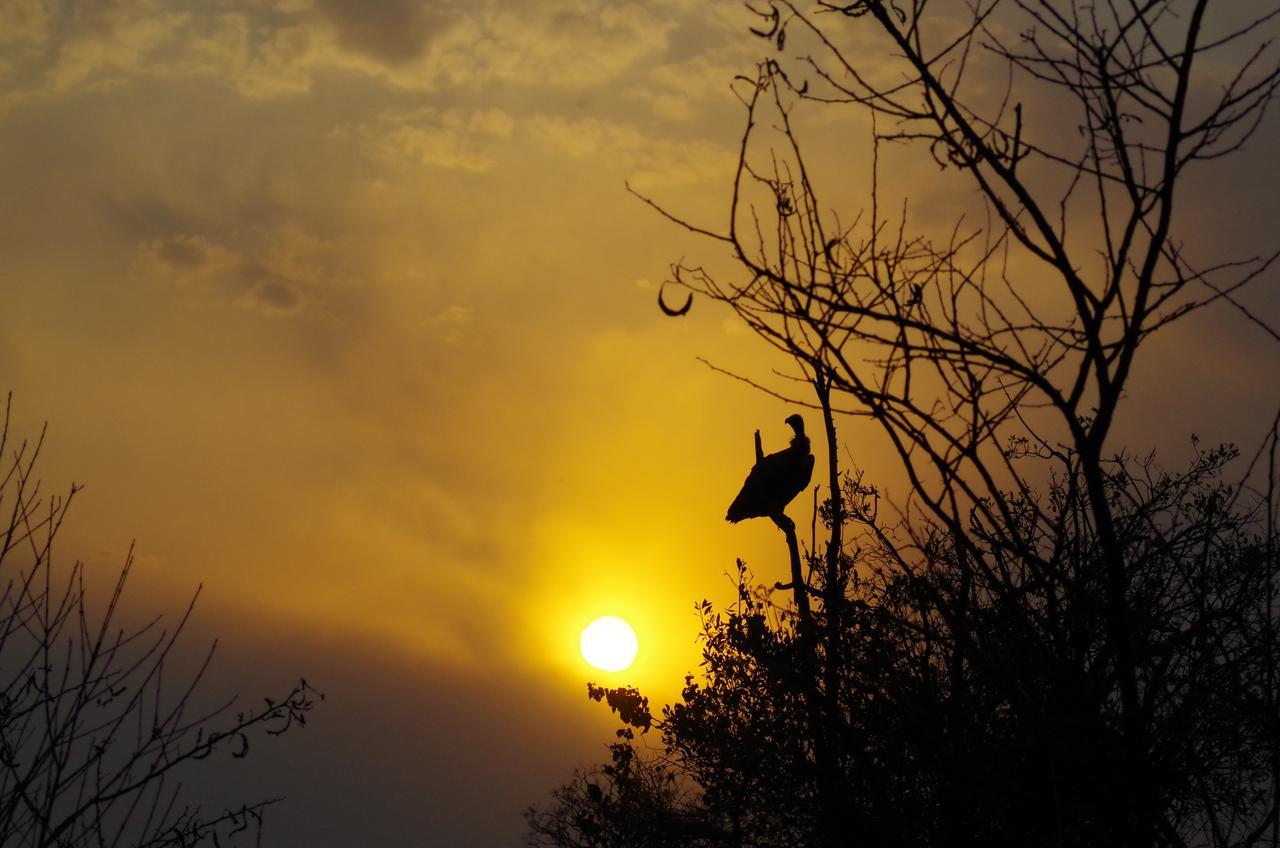 Frans Indongo Lodge โอชิวารองโก ภายนอก รูปภาพ